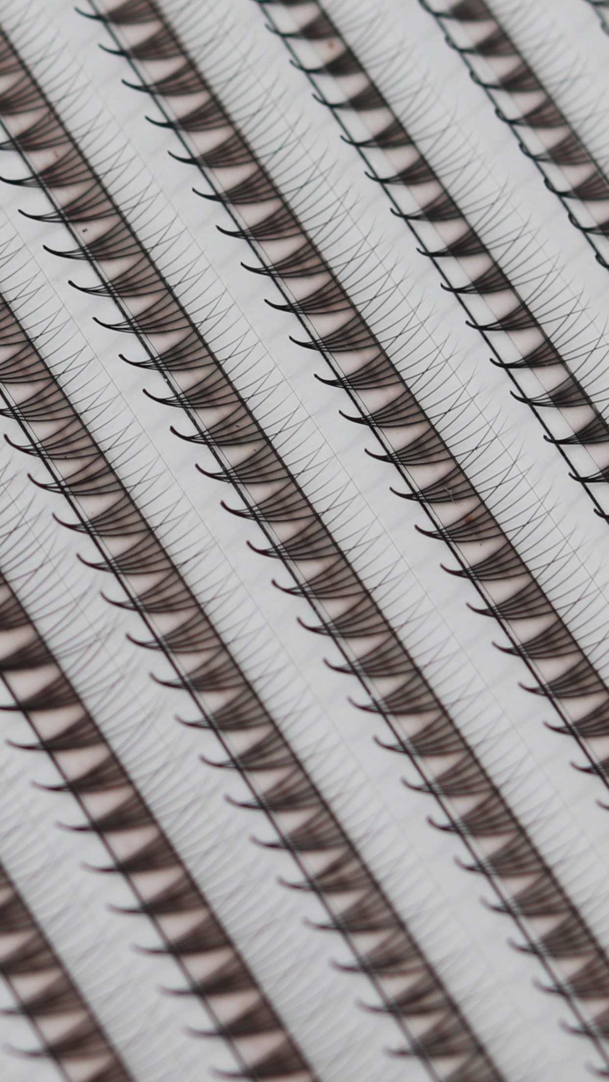 Premade LuxuryLashes. Curvaturas C y D