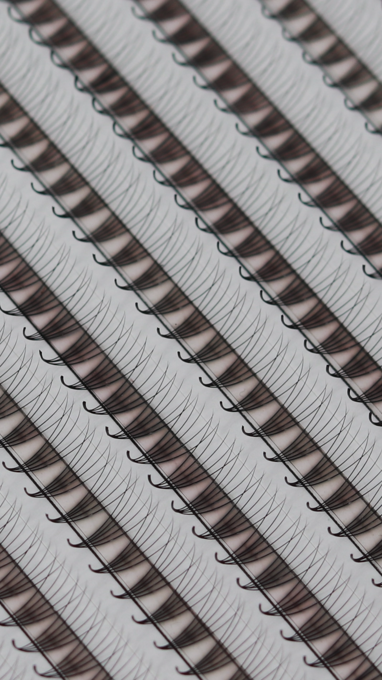 Premade LuxuryLashes. Curvaturas C y D