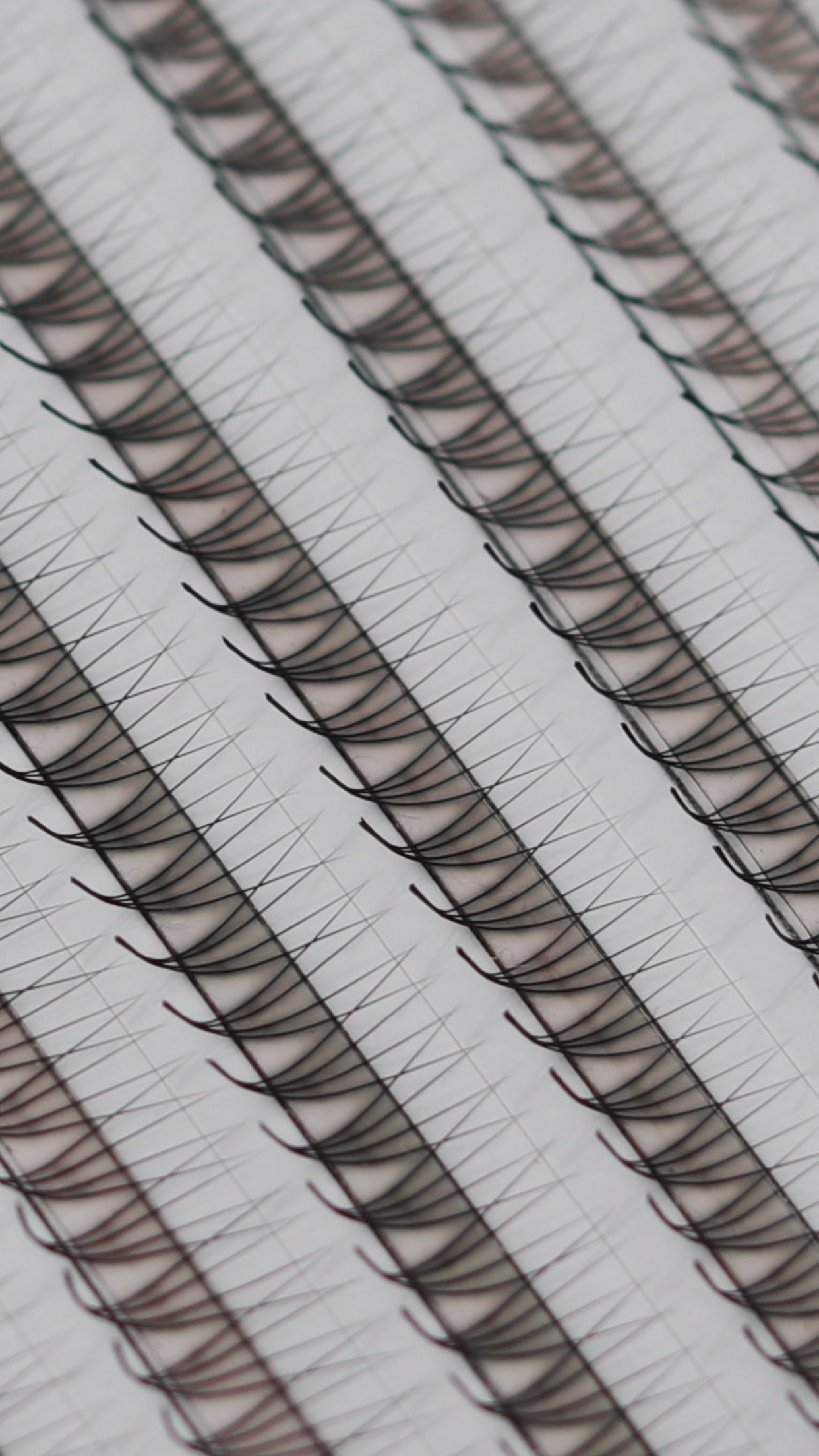 Premade LuxuryLashes. Curvatura L